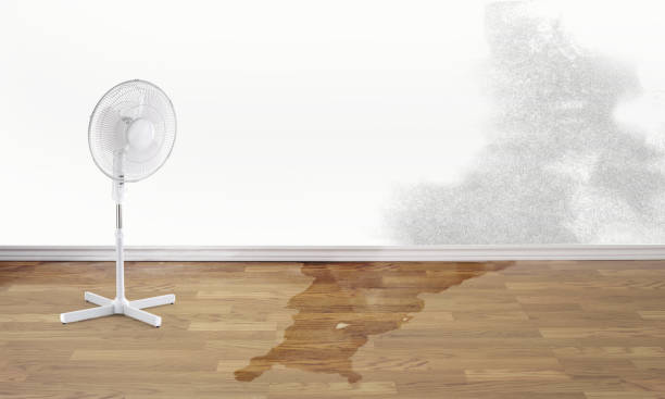 Best Water damage restoration specialists  in Florence, AZ