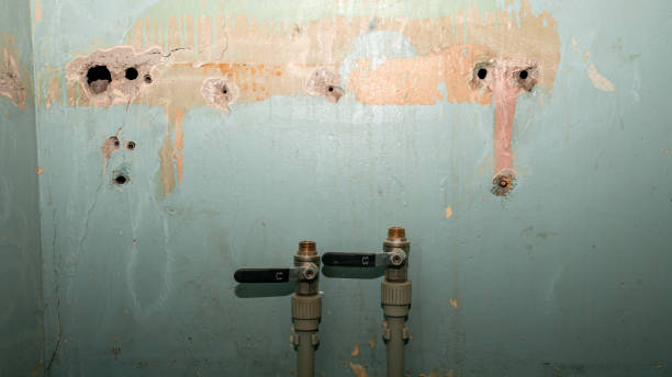 Best Flood damage cleanup  in Florence, AZ