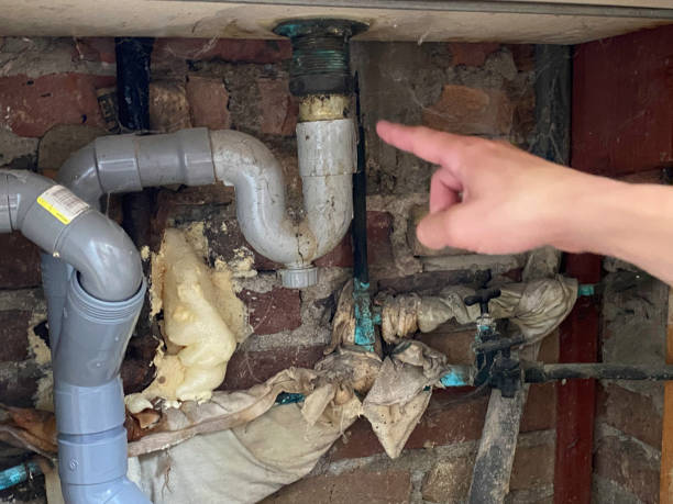 Best 24/7 water damage repair  in Florence, AZ